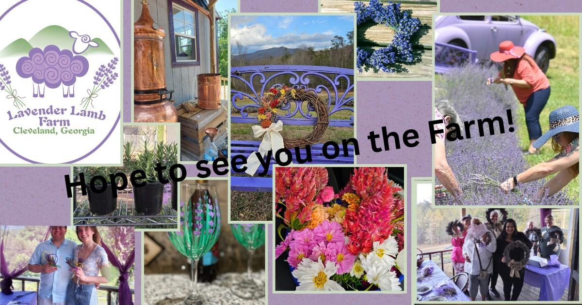 We will be open Saturday April 25th (11am to 4pm) rain or shine!! We will have Lavender Lemonade and Lavender Nibbles for you to sample!! We have many baby Lavender plants for sale!! We're happy to share with you how you can grow Lavender at your house!!