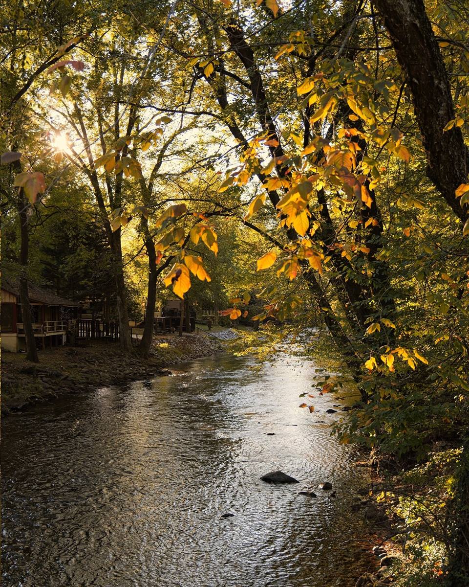 Don’t wait until the leaves change to start making fall plans. 👀🍂

Cabin mornings, crisp mountain air, campfires, colorful trails… fall at Unicoi State Park & Lodge is almost here, and the best way to experience it is staying right in the middle of it all. 🏕️🌲

Book a cabin or grab your campsite NOW before those peak fall weekends fill up. 🍁

Future you, sipping coffee surrounded by fall color, will be very glad you did. ☕️😉

Photo Credit: hisandherscafeconphotos 

#UnicoiStatePark
