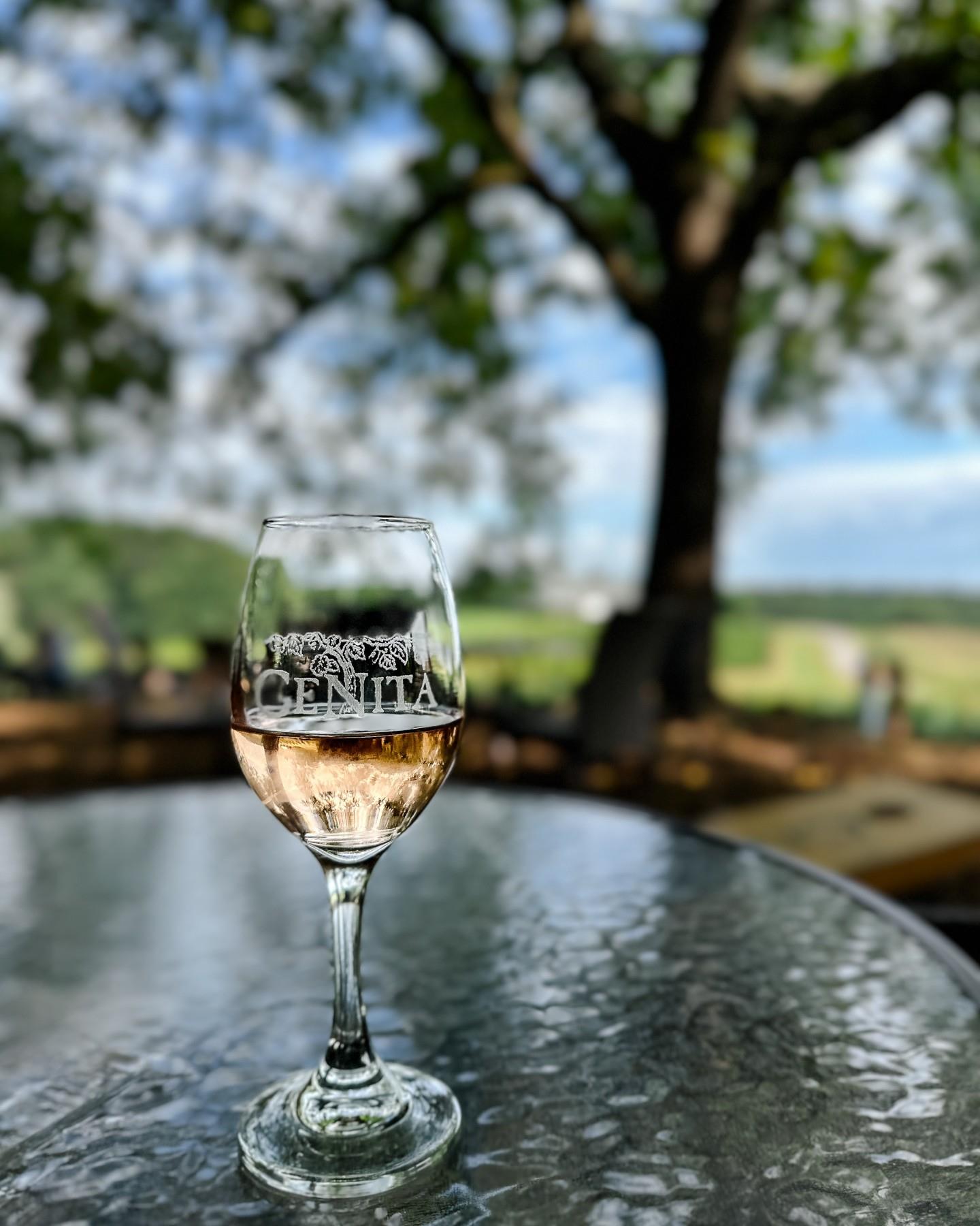 This weekend was made for sipping at CeNita! Here is your weekend lineup:
🍷 Friday 3/27 | 5-8pm | The Lattas
🍷 Saturday 3/28 | 5-8pm | Rahh
🍷 Sunday 3/29 | 2:30-6:30pm | Jayce Johnson
🍷 Alpine Pizza Truck | Sunday ONLY 12:30-7 pm
Perfect weekend combo: live music, wine, and pizza!
See ya at CeNita!