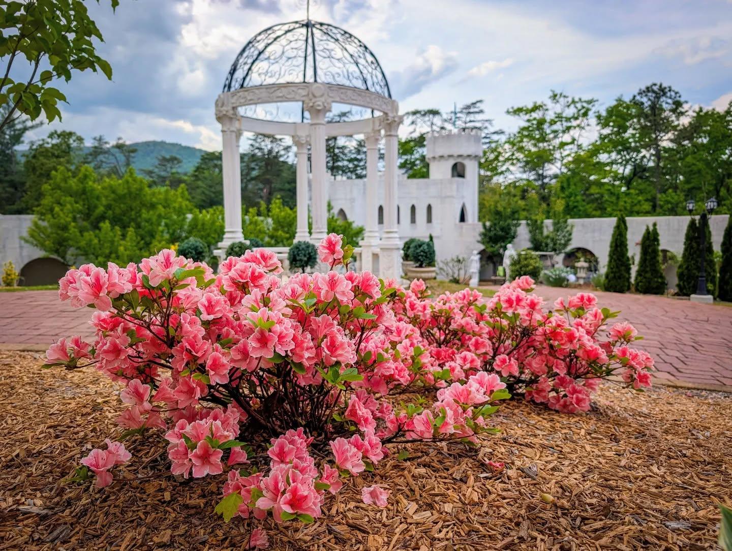 It's another beautiful day in the mountains of North Georgia and the Castle is open. Enjoy the beauty of spring with us in Uhuburg's gardens and grounds!

Join us for:
🌸 Weekend Day Visits Saturdays & Sundays 
🏰 Overnight Stay (use code SPRING15 for 15% off stays through the end of May!)
🌱 Tickets and booking information available online, Link in bio

🎶 Happening this weekend April 24-27: 8th annual Songwriter's Festival in Helen 

#castle #springvibes #NorthGeorgia #HelenGA #HiddenGems