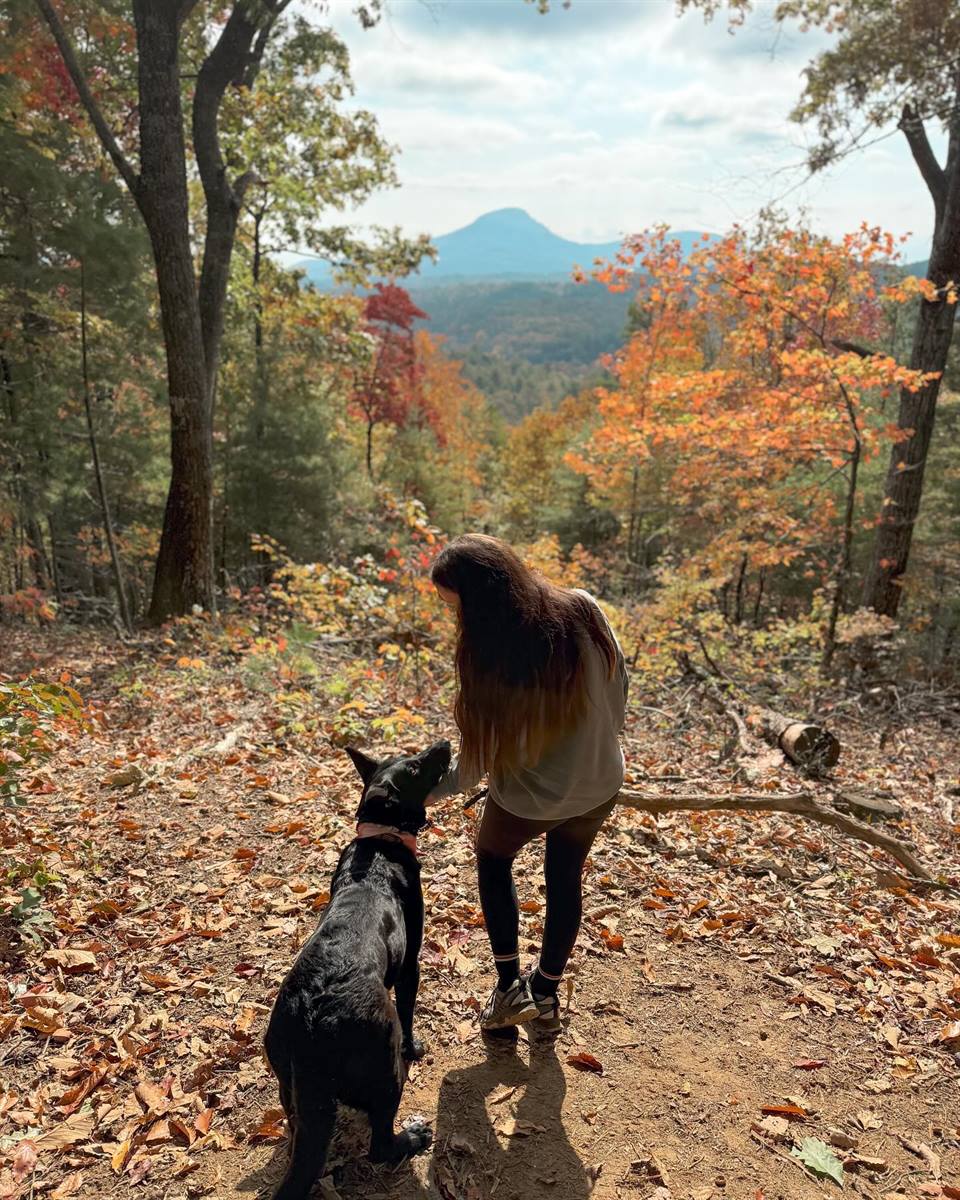 Your dog called... they said it's time for a mountain getaway! 🐾🍂🐶

And honestly, we couldn't agree more! 😍

The air is getting a little cooler, the leaves are beginning to change, and we're counting down the days until Unicoi is surrounded by those gorgeous fall colors! 🍁🌲

There's just something about exploring the North Georgia mountains with your four-legged best friend by your side. Scenic walks, crisp mountain mornings, and all the fresh air their little heart could want! 🐕🤎

The best part? Unicoi State Park & Lodge offers pet-friendly accommodations, so your pup doesn't have to miss out on the adventure!

🍁 Fall is calling, and your dog deserves a vacation too!

🐾 Tag someone who never travels without their furry best friend, and start planning your fall getaway with us!

Photo Credit: momassey_

#UnicoiStatePark