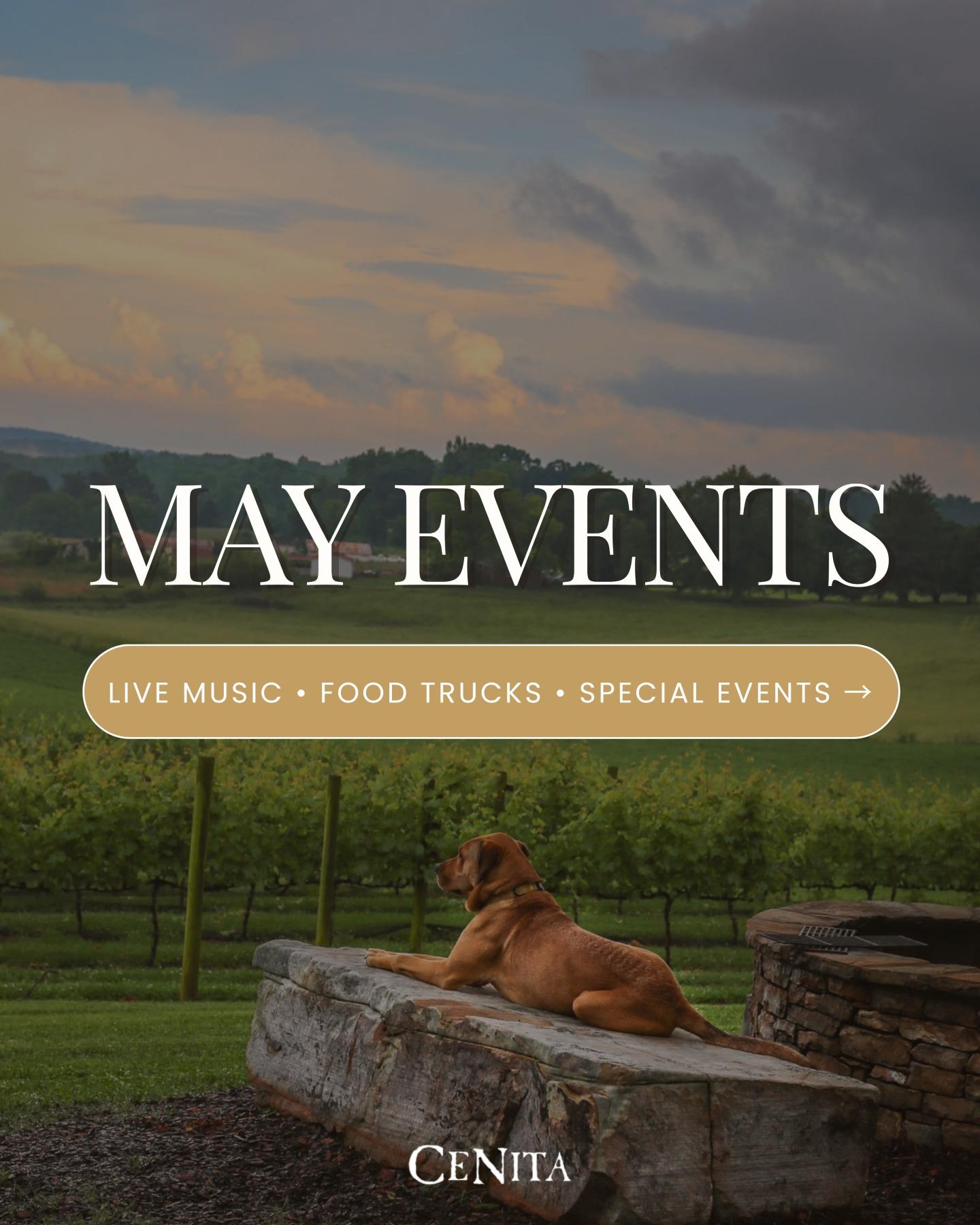 May at CeNita! 🎵🍷
Live music every weekend + food trucks + special events
Swipe for full calendar →

See ya at CeNita!
#cenitavineyards #cenitawinery #northgawine #northgeorgia #explorenorthgeorgia