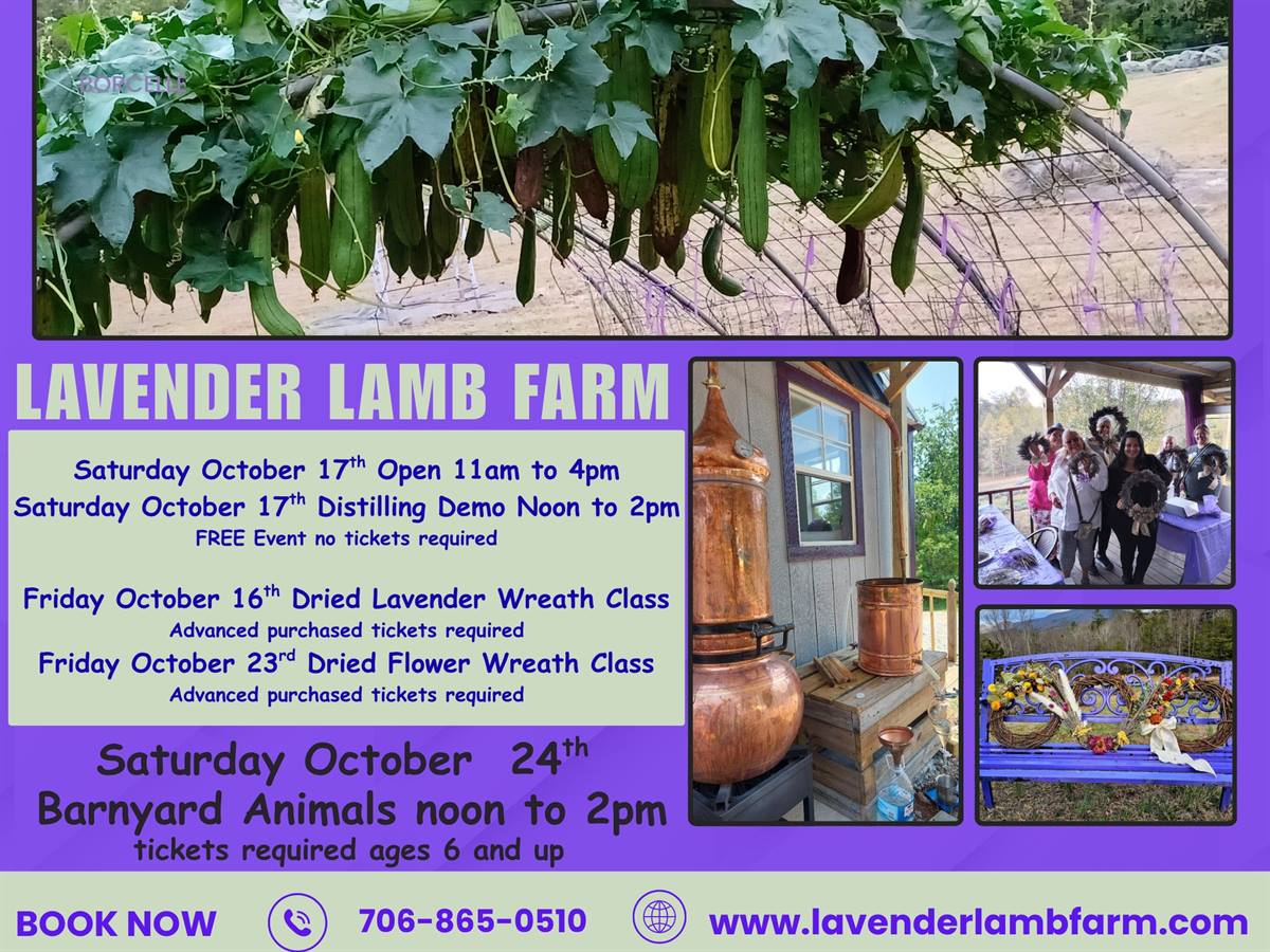 We're open Saturday October 17th (11am to 4pm) Distilling Demonstration (noon - 2pm) Free Event No Tickets Required! Check out our Facebook page or website: www.lavenderlambfarm.com For all upcoming Events at the Farm!!