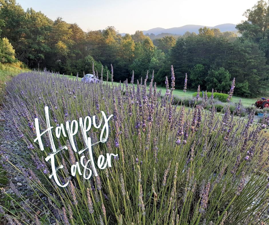 Wishing everyone a Happy Easter!!