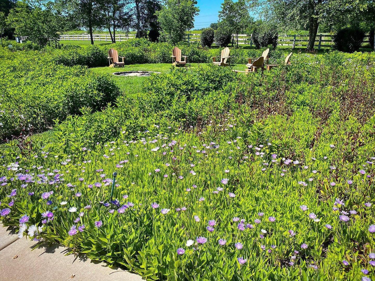 Our butterfly garden is starting to bloom! While visiting the garden don’t forget to stop by our Butterfly Mural to spread your wings and tag #visitoakgroveky in your photos!