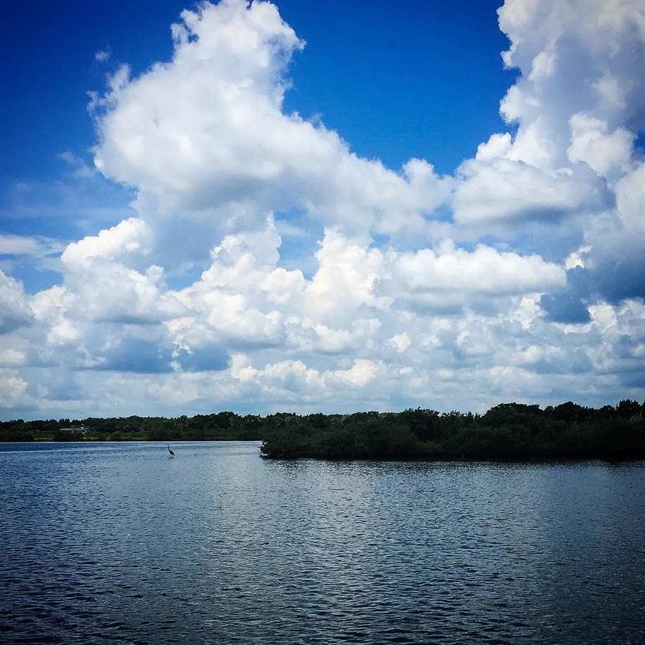 Mosquito Lagoon in the Atlantic Intercoastal Waterway in Florida.

#wanderlust #picoftheday #welltraveled #exploremore #exploremorehd #justgoshoot #neverstopexploring #instadaily #instagood #5SecondVacay #florida #orlando #mosquitolagoonfishing