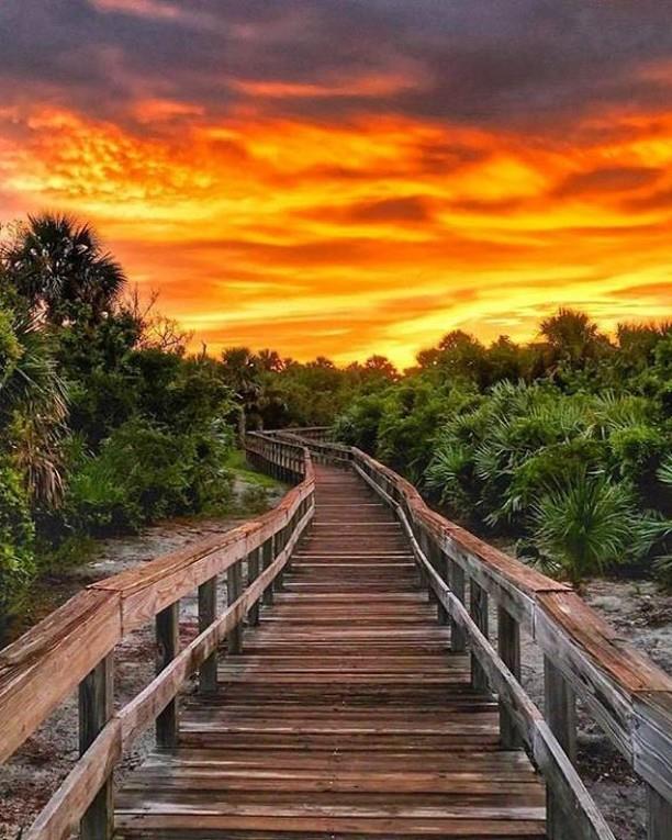 NSB is 🔥 🔥 🔥! Share your sunrise/sunset pictures with us by tagging with #LoveNSB. 📸: @wakingdreams1128

#LoveNSB #LoveFL #nsb #newsmyrnabeach #nsblocal #visitnsb #visitflorida #loveflorida #beachday #floridaliving #floridabeaches #sunshinestate #outdoors #floridalocal #beachvibes #floridalife #eastcoast #centralflorida #beachlife #floridasaltlife #floridasaltfreak #saltlife #vitaminsea #igtravel #bestshot