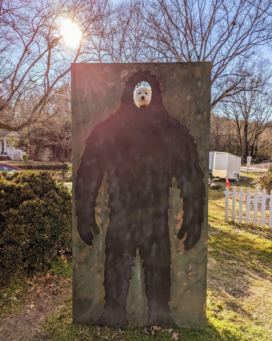 EXTRA! EXTRA! Incredible sight of Big Foot in Littleton, NC! 😏 Now seriously, go check out the Cryptozoology & Paranormal Museum for their findings on the most-looked-for creature in North America. 
📸: @bullcitybichon 
#DiscoverHalifaxNC #VisitNC