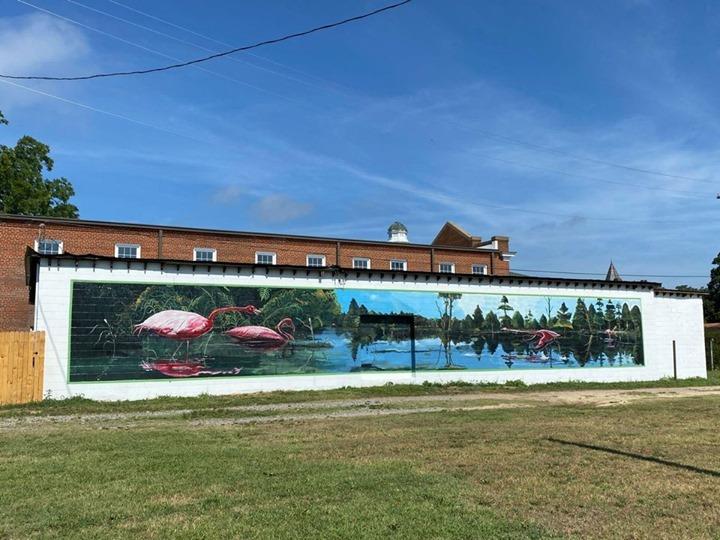 Happy #MuralMonday! Have you seen the beautiful new Napolean Hill mural in Scotland Neck?
It's worth a visit. Let us know what you think! 🦩🦩
.
.
📸: Scotland Neck Rising/FB
#DiscoverHalifaxNC #VisitNC #LoveNC #NorthCarolina #ScotlandNeck #ExploreNC #halifaxcountync