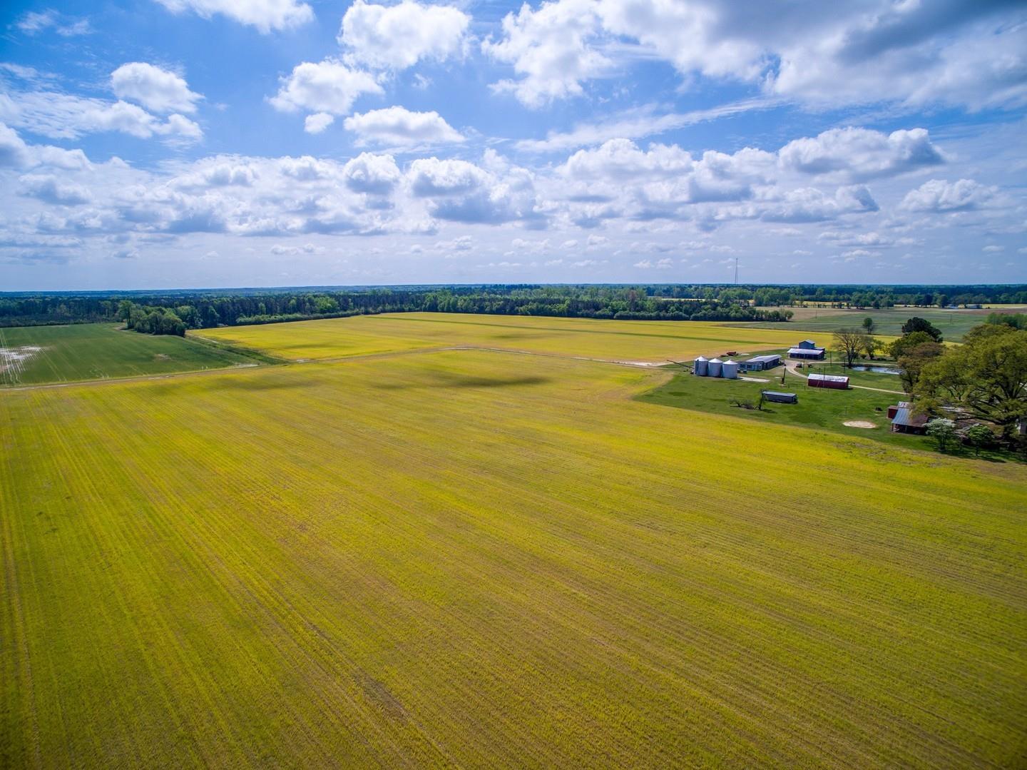 #ScenicSunday inspiration from Halifax County ☁️ 
.
#DiscoverHalifaxNC #VisitNC #VisitHalifaxNC