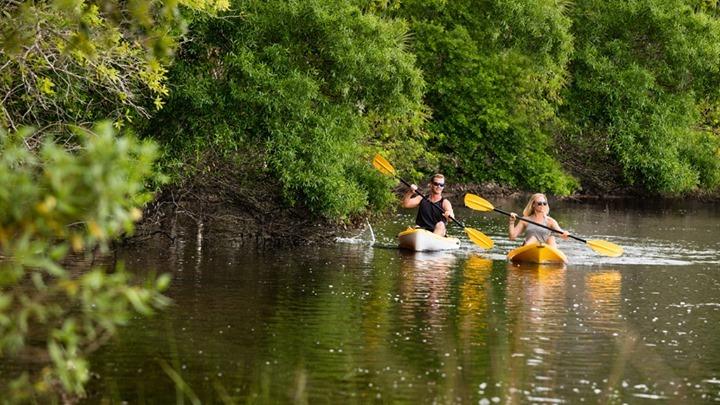 Start your weekend adventure here! Go exploring via kayak! Check out all the outdoor opportunities NSB offers at the link in our bio.