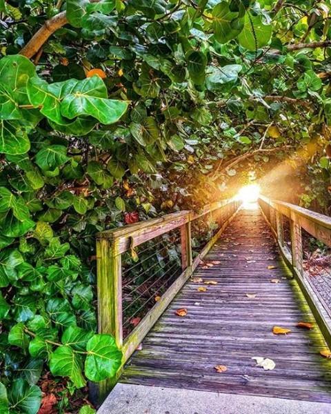 Yes you can. 💪
.
.
📸: @livingthedreamnsb
#EstherStreetPark #LoveNSB #LoveFL #nsb #newsmyrnabeach #nsblocal #visitnsb #visitflorida #loveflorida