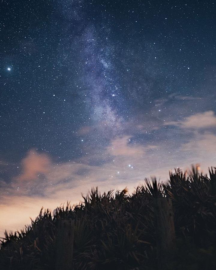 🎶 You're a shining star, No matter who you are...🎶 
.
.
📸 @walt_harden
#LoveNSB #LoveFL #nsb #newsmyrnabeach #nsblocal #visitnsb #visitflorida