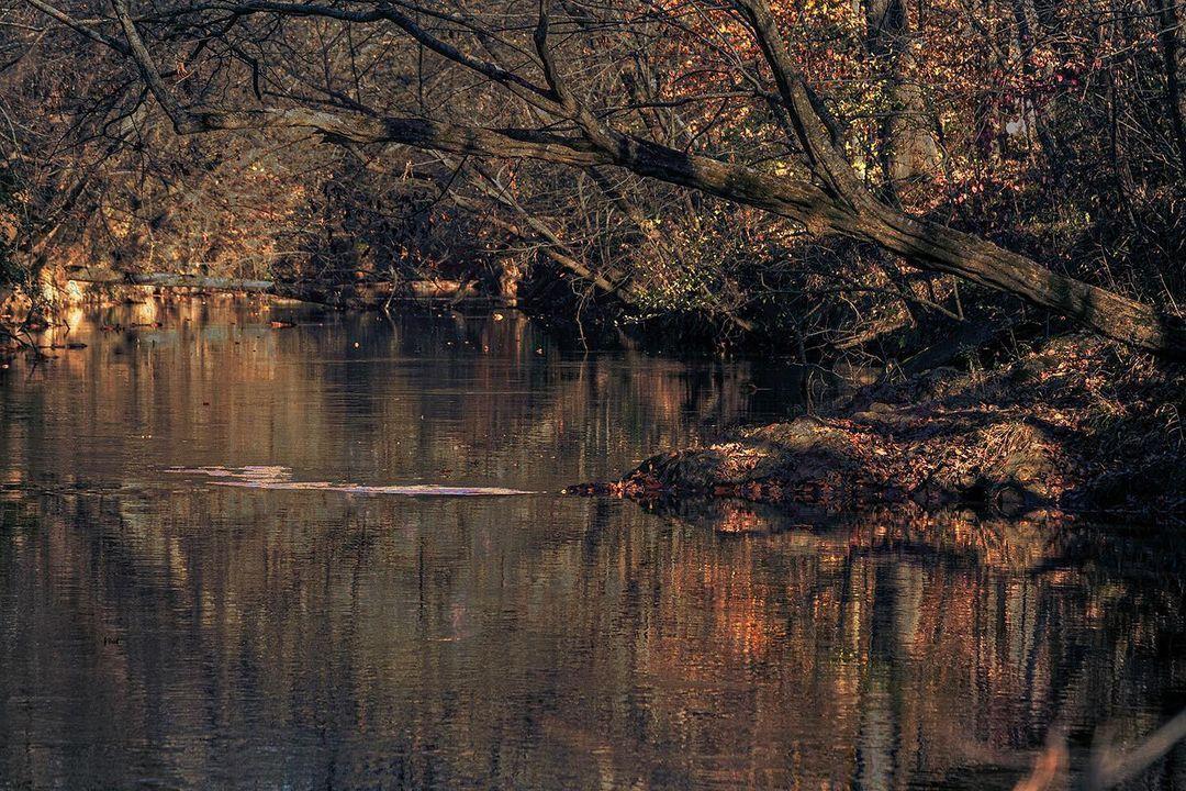 #ScenicSunday inspiration from Medoc Mountain State Park 🧡 
.
📷: @tmsurratt
#DiscoverHalifaxNC #VisitNC #VisitHalifaxNC