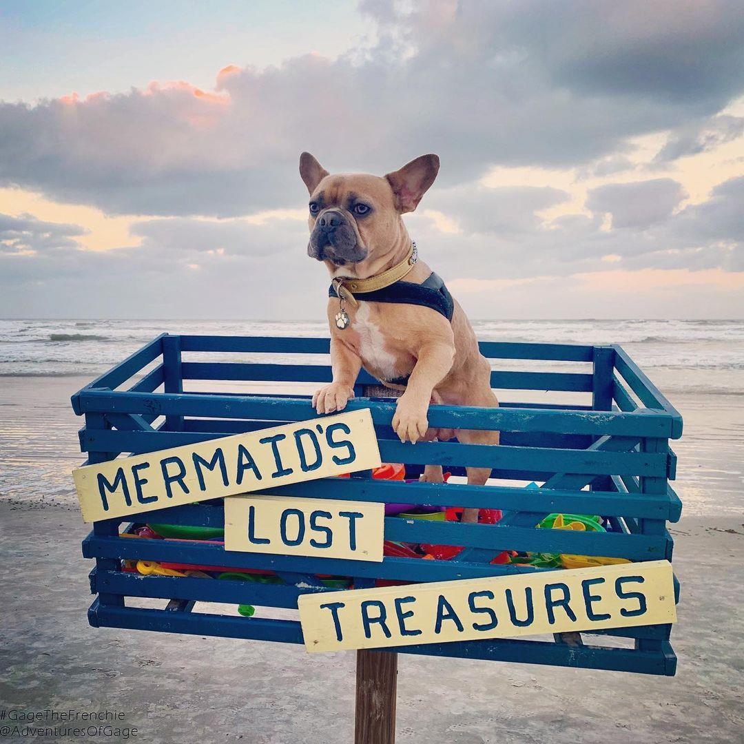Treasures (and cuteness) found... 🤣 📸 @adventuresofgage 
#LoveNSB #LoveFL