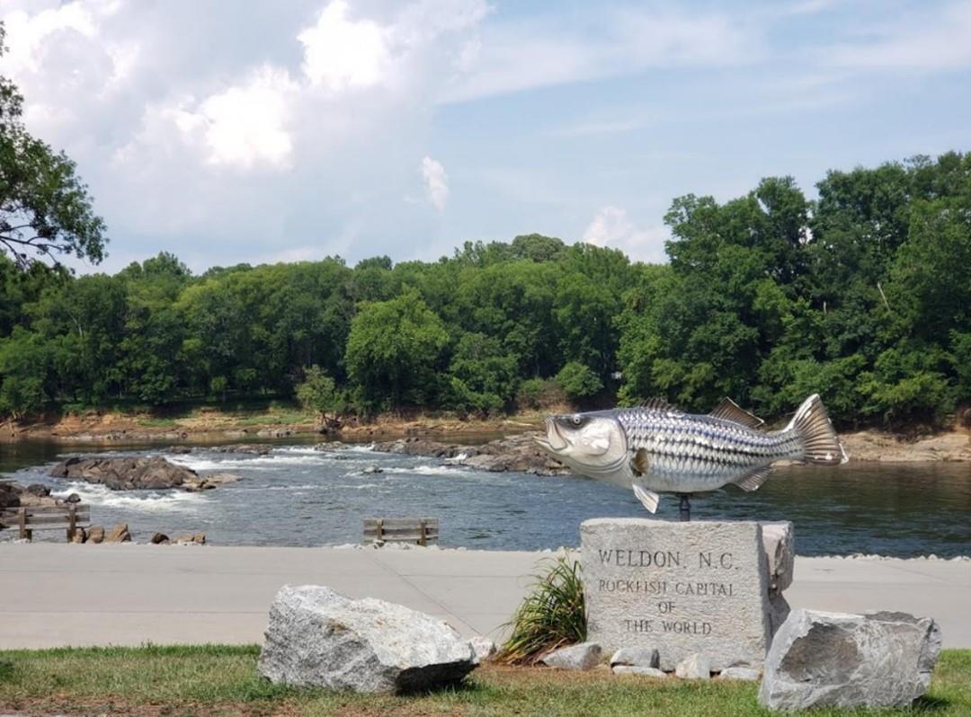 Make plans to honor our veterans in a truly powerful way this Memorial Day Weekend at the Remembrance on the River event at River Falls Park. 
This Thursday around 11:00 a.m. our very own, Bruce Tyler, of @weldonmills will be riding in to River Falls Park with other AMVet Ryders as they finish their final stretch of the "Ride to Remember", be there to greet these heroes! 

For the rest of the weekend come out to River Falls Park to see the North Carolina Vietnam Traveling Wall, the John Dixon Vietnam Historic Display, and our Field of Flags.

Visit the link in our bio for more info.

.
.
📸: Nasir Kahn/Google Reviews
#DiscoverHalifaxNC