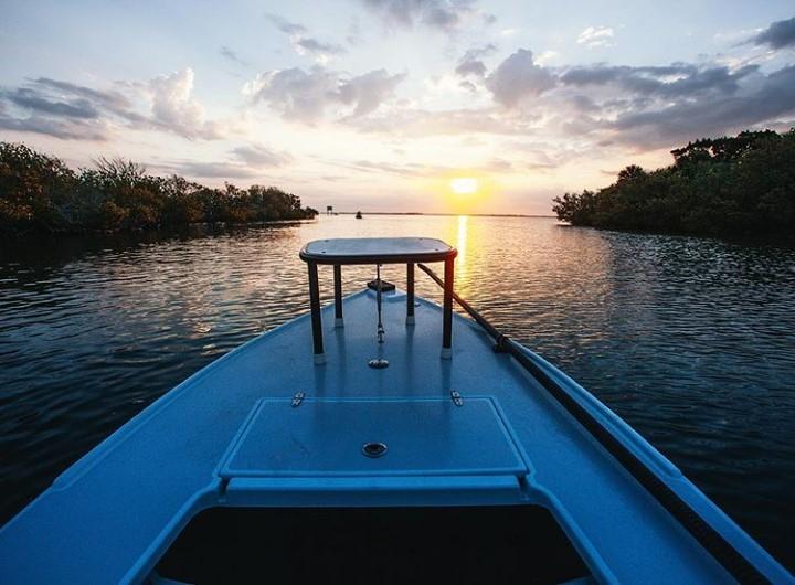 "Hope is being able to see that there is light despite all of the darkness." - Desmond Tutu

📸: @ricky_congero