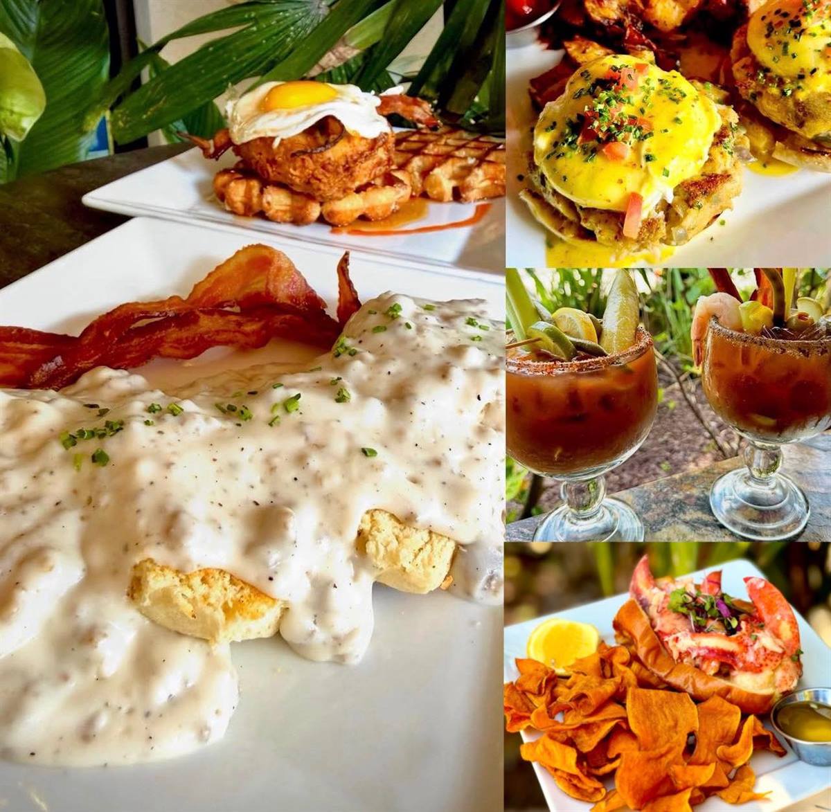 ☀️ Sundays are for Brunching
Join us for Brunch and treat yourself to delicious chef creations — including our fresh Maine Lobster Roll 🦞 along with all your brunch favorites.

🥂 Happy Hour All Day
🍳 Sunday Brunch 1130 to 3pm

#CorkScrewBarandGrille #LoveNSB #CanalStreetNSB #SundayBrunch #LobsterRoll  #BrunchVibes