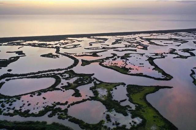 Good morning from the Redfish Capital of the World!
This is Mosquito Lagoon.
.
.
📸: @stretch415
#LoveNSB #LoveFL #HuntingAndFishingDay