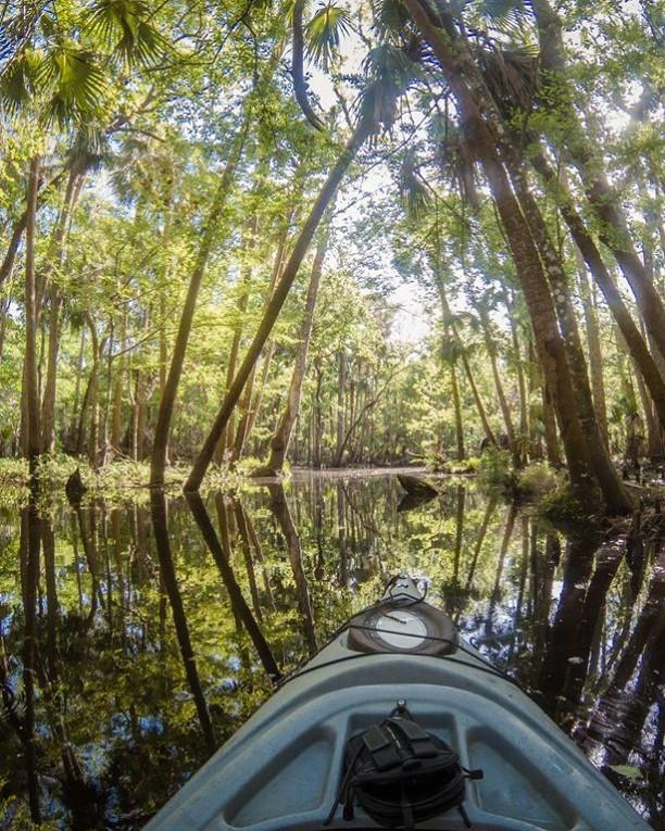 Go beyond the beach! 🛶 Kayaking, paddle-boarding, and more nature-wondering experiences can be found in the New Smyrna area! Rentals and tours with the link in our bio! 
📸: Visit NSB Media Library
#LoveNSB #LoveFL