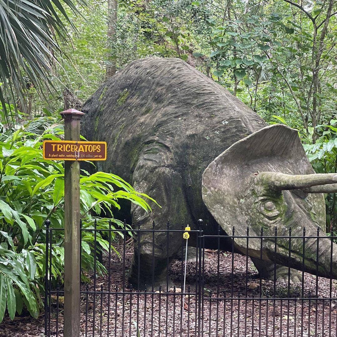 DYK? Dinosaurs still roam the earth in Florida! Kinda. 😁 
Encounter pre-historic beasts made of chicken wire and concrete when wandering the remnants of "Bongoland" at the Dunlawton Sugar Mill Gardens. Details in bio link.
#LoveNSB #LoveFL #Bongoland 
📷: @quirky.travels.usa