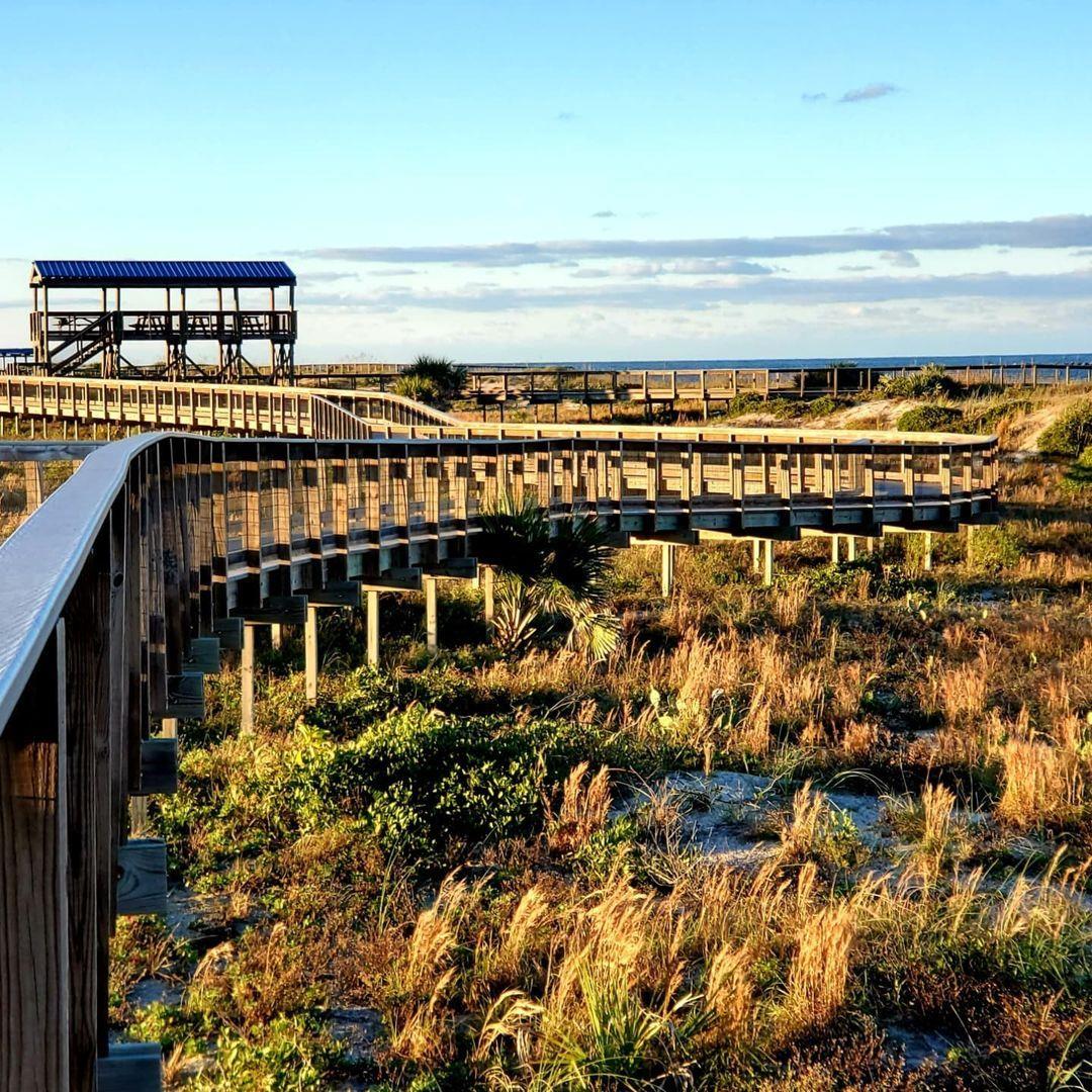 Even the walk to the beach is scenic in NSB 🤩 
(Learn more with link in bio.)
#LoveNSB #LoveFL
📷: @patty.doherty.98