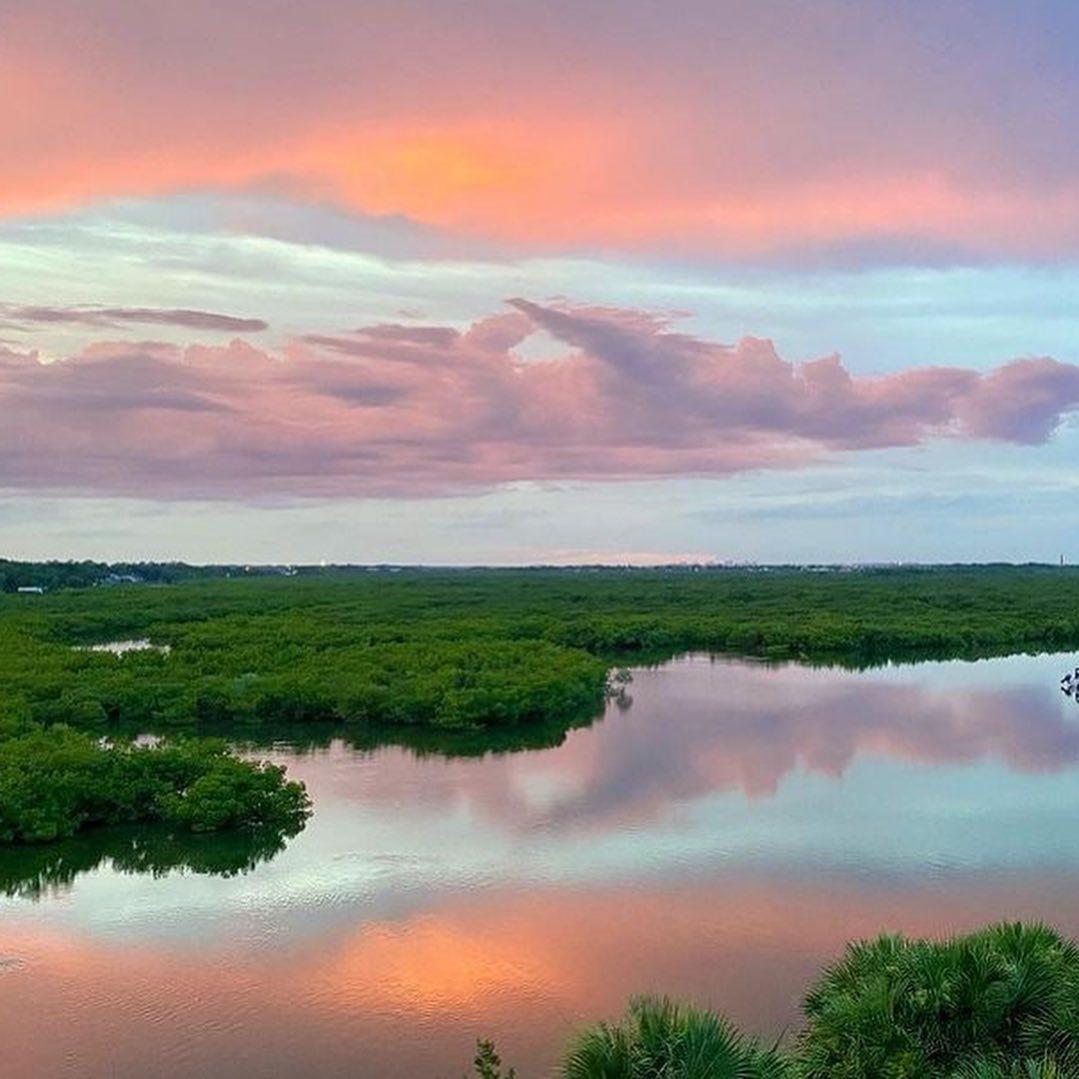Florida's mangrove colors for the win. 💚 💙 💜 #LoveNSB #LoveFL
📸: all amazing captures by @wldfla