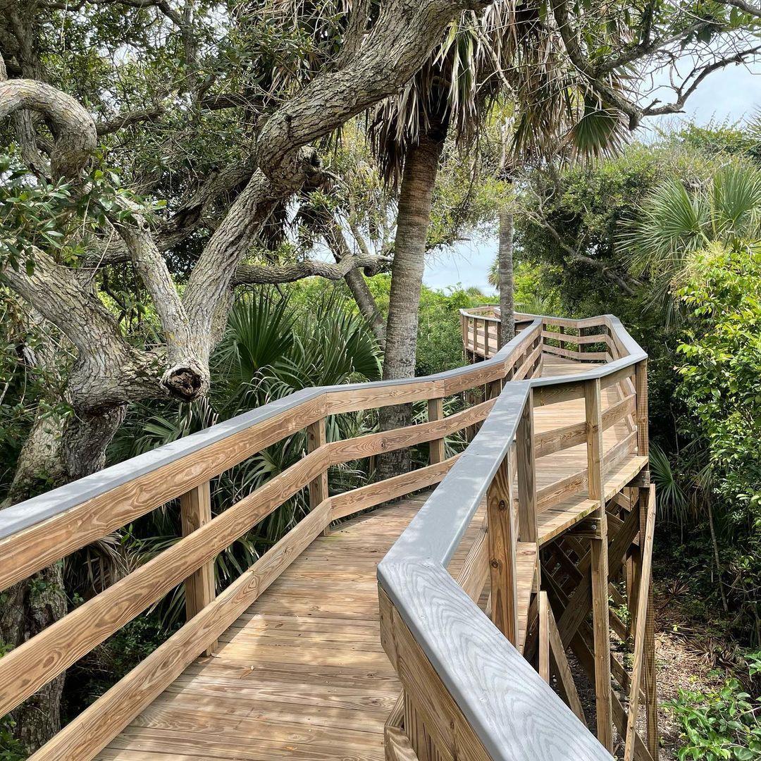 Happy #FunFactFriday from Turtle Mound!
Did you know that Turtle Mound is a 50-foot tall shell midden (made predominantly out of oyster shells) that can be seen 7-miles out to sea?
This turtle-shaped mound remains from the prehistoric Timucuan people who existed five to six centuries before European contact. 

We encourage you to hike to the top through trails at Canaveral National Seashore for excellent views!
Check out the link in our bio to find out more.
.
.
📸: @vic3___
#LoveNSB #LoveFL