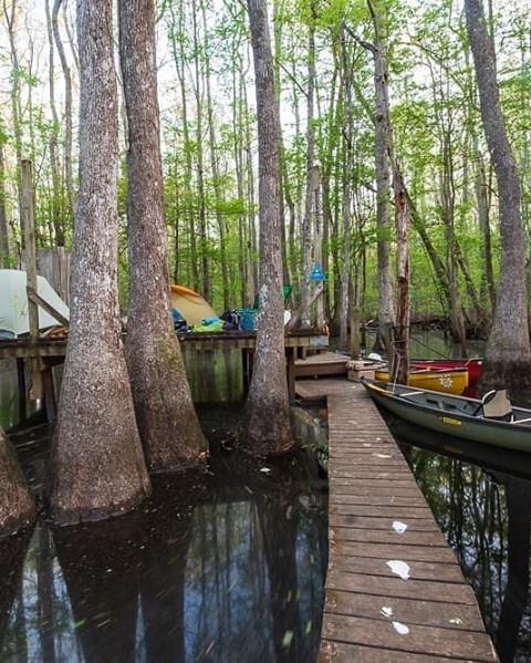 Have you ever thought of staying in the Roanoke River? Yes, you heard that right!  More information with the link in our bio. 
📸: @carlgalie 
#DiscoverHalifaxNC #VisitNC