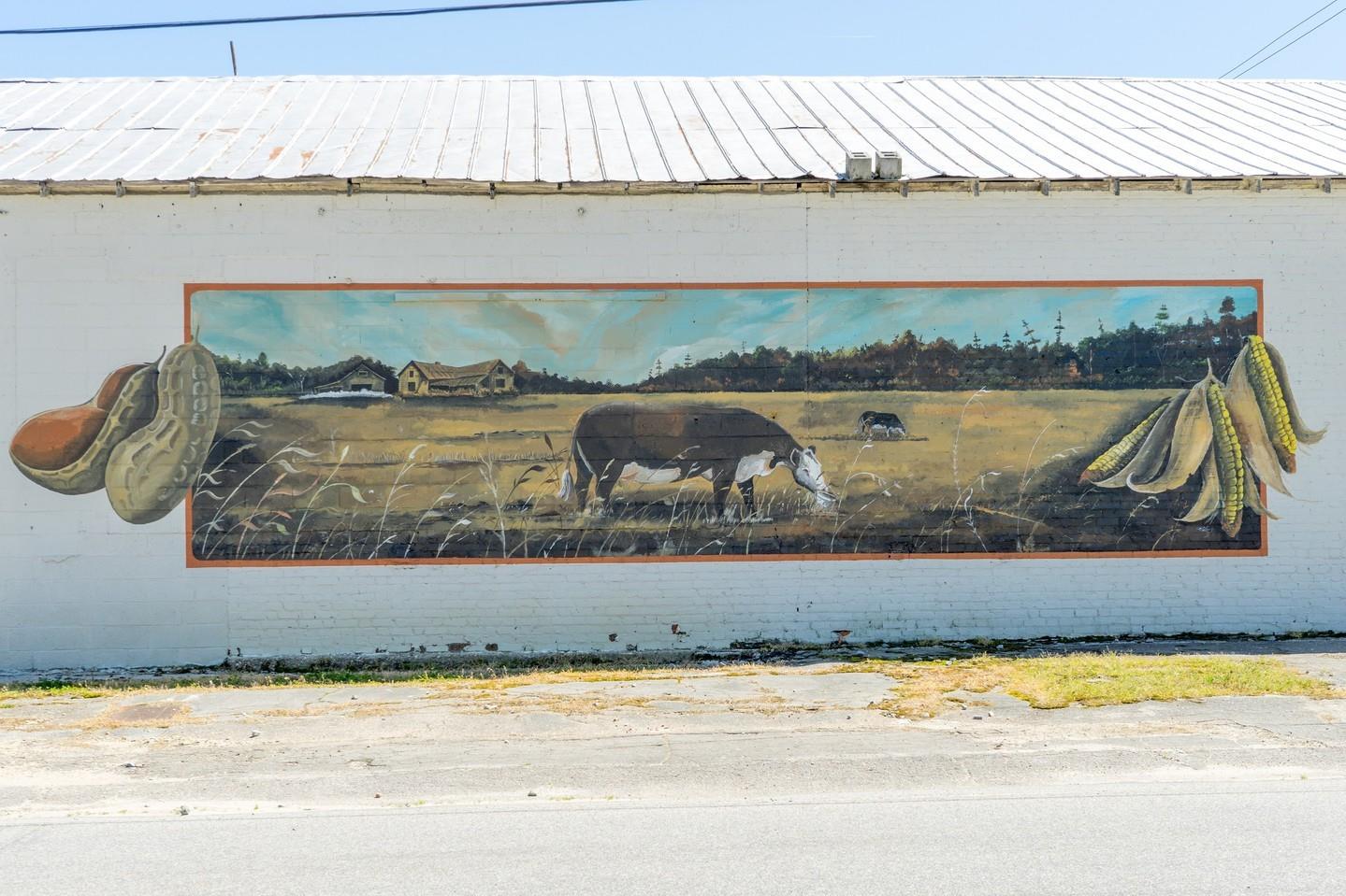 Across Halifax County, you can find the roots of our culture beautifully captured in 10 vibrant murals by local artist Napolean Hill. 
.
Take the self-guided tour: Link in bio
. 
#DiscoverHalifaxNC #VisitNC #NapoleanHill