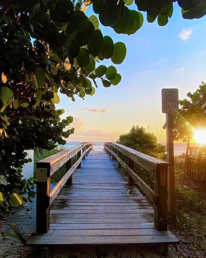 #MondayMotivation: Follow the path to happiness... which means "the nearest beach boardwalk" 😉 
📸: @debbiesummers
#LoveNSB #LoveFL