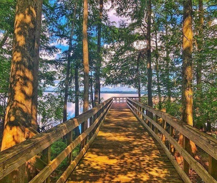 "Fall"in hard for Lake Ashby Park. 🌲🌲
(📸: @ty_hafe) #LoveNSB #LoveFL