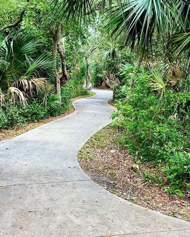 Wind down with a touch of the tropics. 🌴🌿🌴
📸: @travelwithgypsymamabear
#LoveNSB #LoveFL