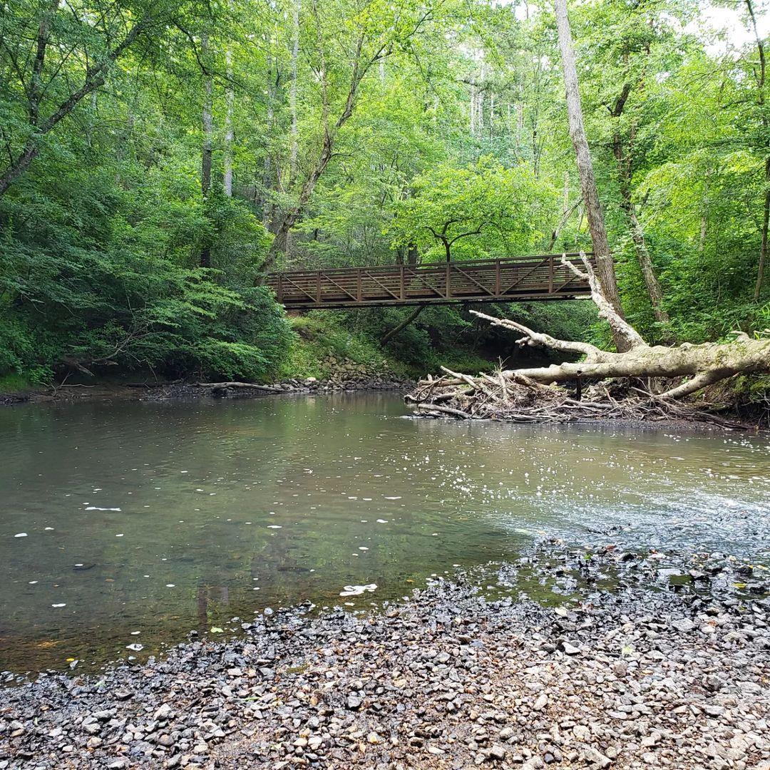 #ScenicSunday at Medoc Mountain State Park 
.
#DiscoverHalifaxNC #VisitNC
📷: @nagoh72