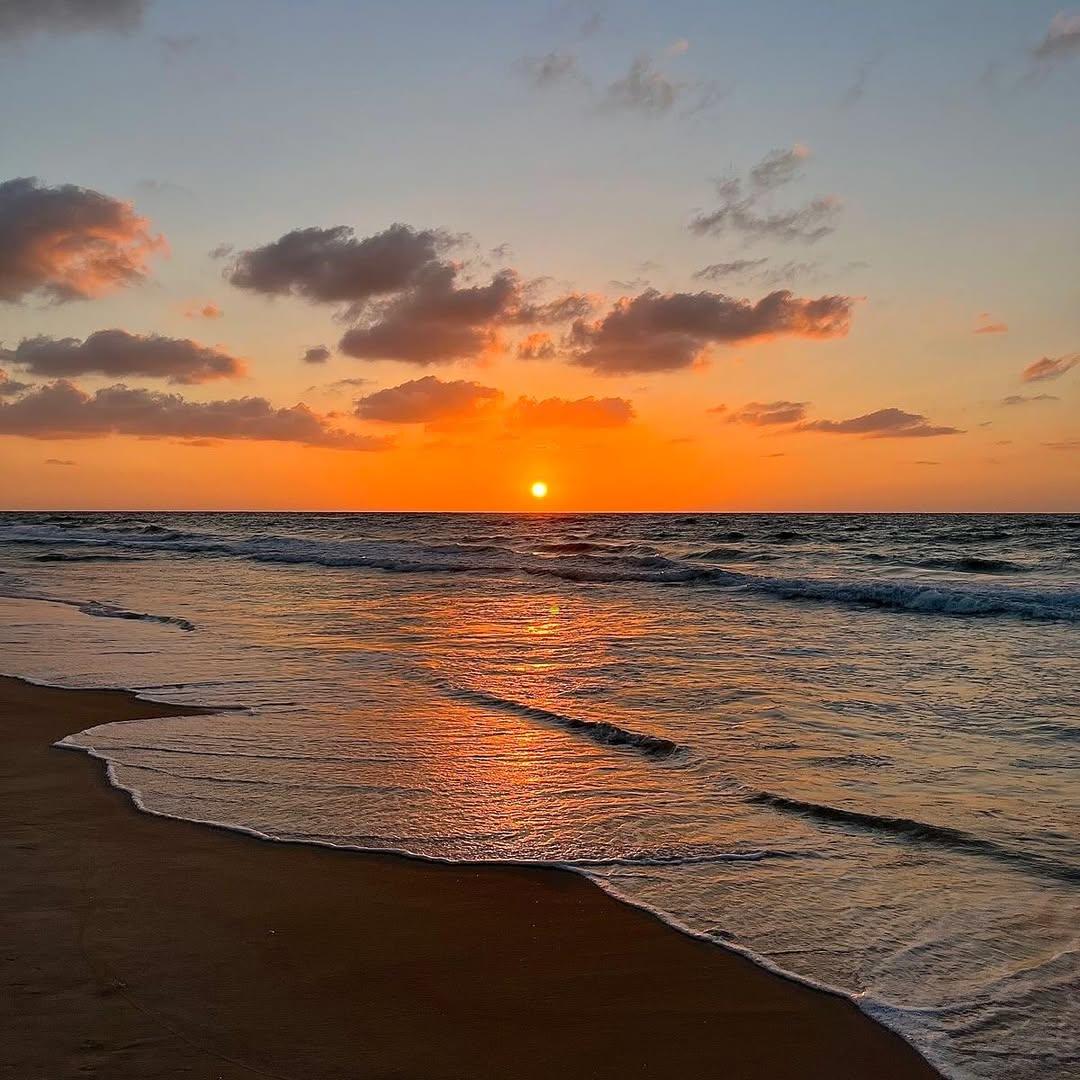 Orange you glad it's spring? 😍 

📷 @maddiet08_
#LoveNSB #LoveFL #FloridaBeaches