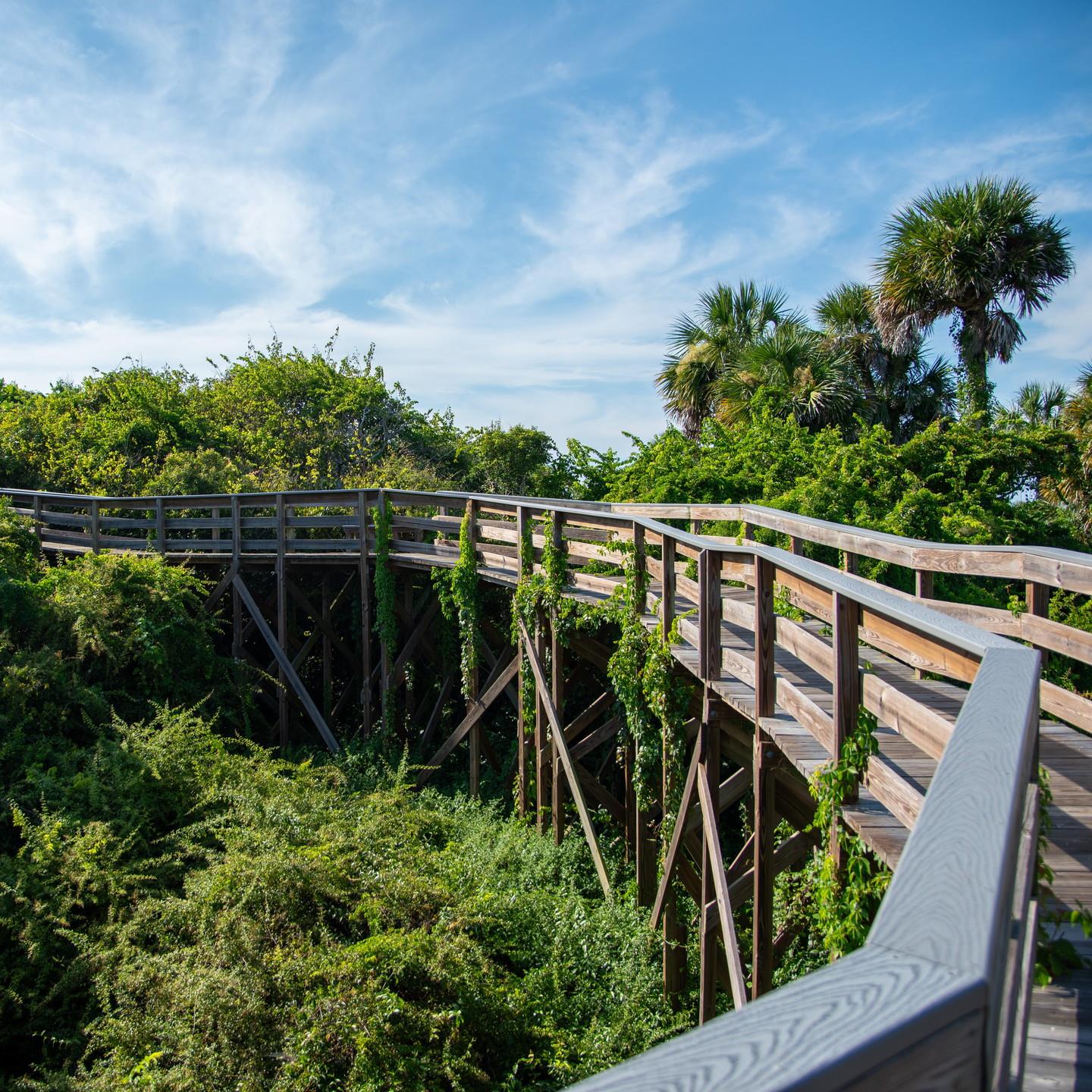 🌿 We're all about keeping our paradise pristine for today and tomorrow! 🌊 Want to be a responsible traveler? Check out our sustainability tips on supporting eco-friendly businesses and protecting our beautiful coast and wildlife 💚 Link in our bio.

#LoveNSB #LoveFL #SustainableTravel #KeepItLikeNew