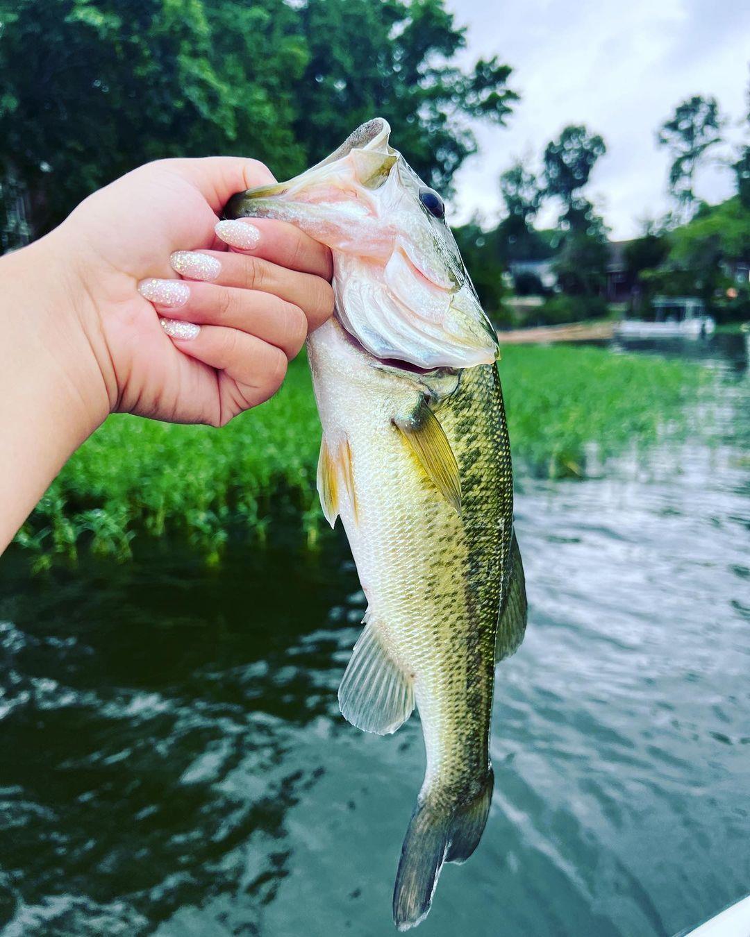 Hunting and fishing in Halifax County is every sportsperson’s dream! 🤩 
👉Start your trip planning with a look at our 2023 Hunting & Fishing seasons: Link in bio 
.
📷: @tenzy_krantz 
#DiscoverHalifaxNC #VisitNC #HuntingSeason #FishingSeason #VisitHalifaxNC