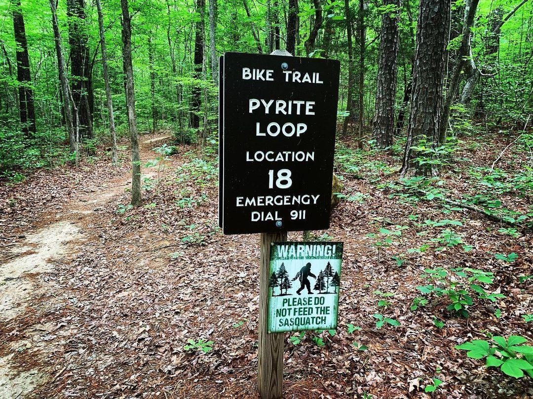 DYK? Sasquatch aka Bigfoot has been spotted in Medoc Mountain State Park 😳 
Learn more about it at the Cryptozoology & Paranormal Museum in Littleton 
📍 Link in bio
.
📷: @jewlyhight
#DiscoverHalifaxNC #VisitNC #BigfootSighting #SasquatchWatch