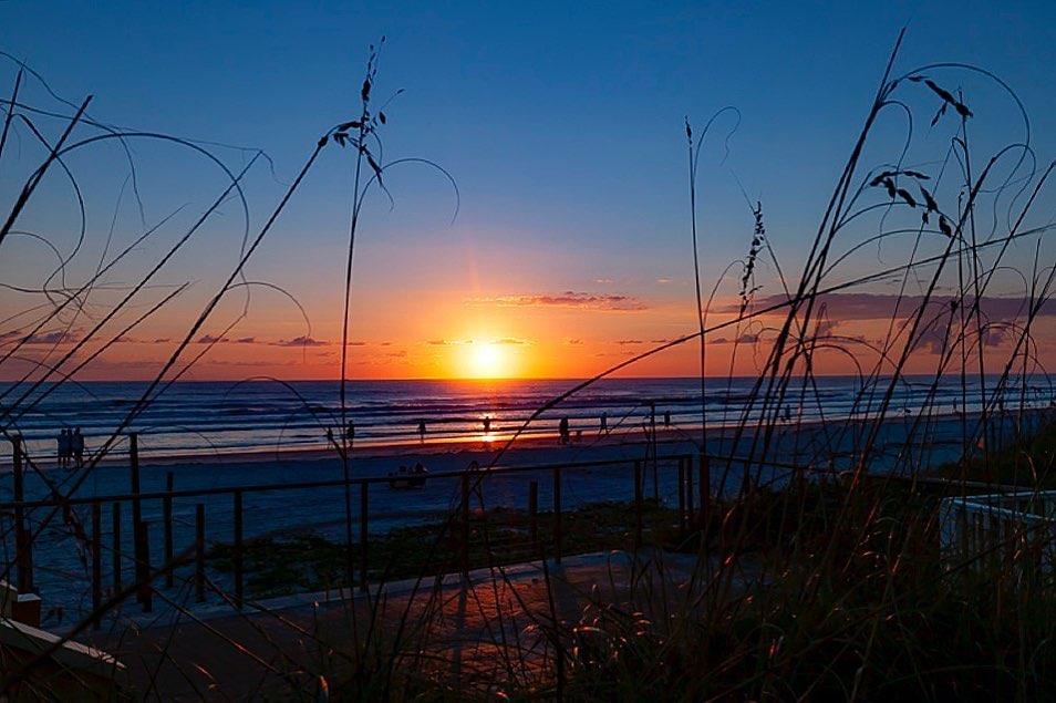 All that's missing is you! 😎
Our bio link can solve that 😊 
#LoveNSB #LoveFL
📷: @klaude_g