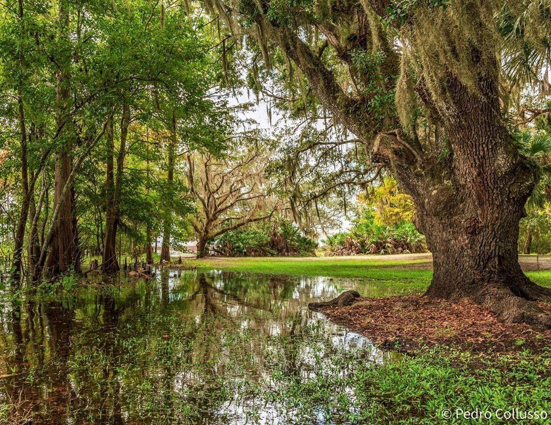 Explore the outdoors, besides the ocean, in New Smyrna Beach!
.
https://visitnsbfl.com/outdoors
.
#LakeAshbyPark  #sunshinestate #outdoors #floridalocal #LoveNSB
📸  @pedrocollusso