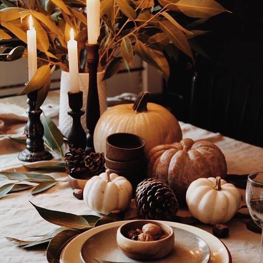 Happy Thanksgiving from Visit Halifax 🦃 

📷: henandhognc/FB
#DiscoverHalifaxNC #VisitNC #HappyThanksgiving