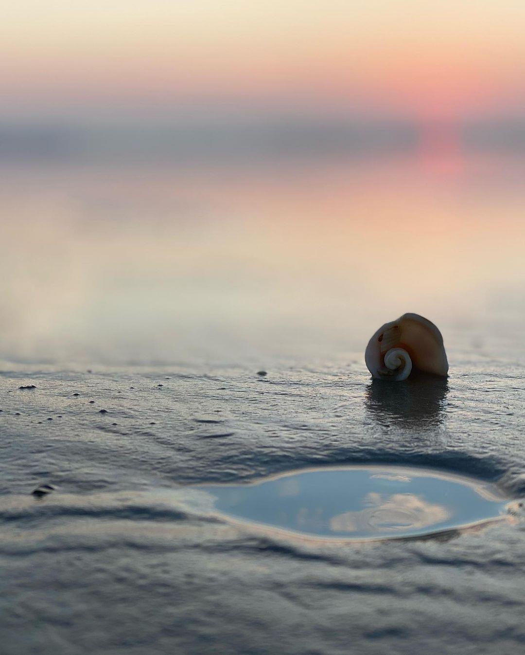Shell-o from NSB! 😊 
📷: @doniellejd 
#LoveNSB #LoveFL