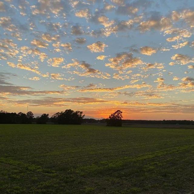 Resolve to make time for more Eastern North Carolina sunsets in 2021.
.
.
📸: @bojenkins22 in Enfield, NC
#DiscoverHalifaxNC #VisitNC #LoveNC #NorthCarolina #northcarolinaphotography #ExploreNC #halifaxcountync #northcarolinaliving