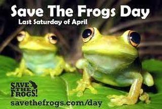 April 29: @sylvanheights_birdpark invites you to Save the Frogs Day  Attendees will participate in activities that encourage an understanding of amphibians and how to help their survival
🐸 Find more info in bio link
.
📷 ncsciencefestival.org
#DiscoverHalifaxNC #VisitNC #VisitHalifaxNC #SavetheFrogsDay