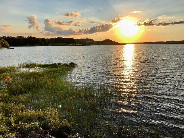 #ScenicSunday Inspiration at Roanoke Rapids Lake - Day Use Park 😍 
.
📷: @nccarrieb
#DiscoverHalifaxNC #VisitNC
