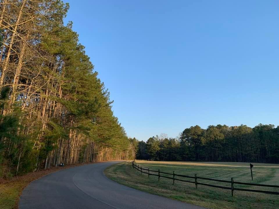 #ScenicSunday inspiration from Medoc Mountain State Park 🍂 
.
📷: Melanie Stevenson Davis/FB
#DiscoverHalifaxNC #VisitNC #VisitHalifaxNC