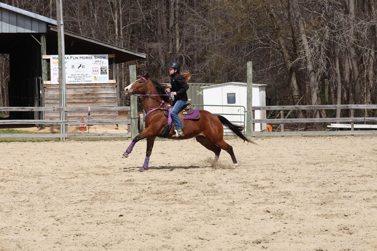 May 20: Attend the fun, family-oriented Halifax Fun Horse Show! 
It's full of entertainment whether you are riding or watching the events 🐎
🐴 Show info: Link in bio
.
📷 Halifax County Horse Council/FB 
#DiscoverHalifaxNC #VisitNC #VisitHalifaxNC