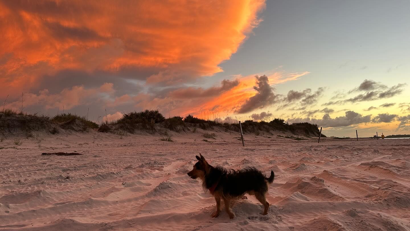 I said I’d never live in Florida. 

Now I am so thankful I DO live in Florida. 

Views for days and since I run Peace Place (my vacation/boarding house for missionaries and single moms) I get all the visitors. 

Are you living a life you never wanted to live? 

Once we accept where God has us whether it be location or season… Joy comes. Peace shows up. 

What have you learned from accepting what you didn’t plan on?

#acceptance #newsmyrnabeach #sunset #friends #dogbeach #nsbdogbeach