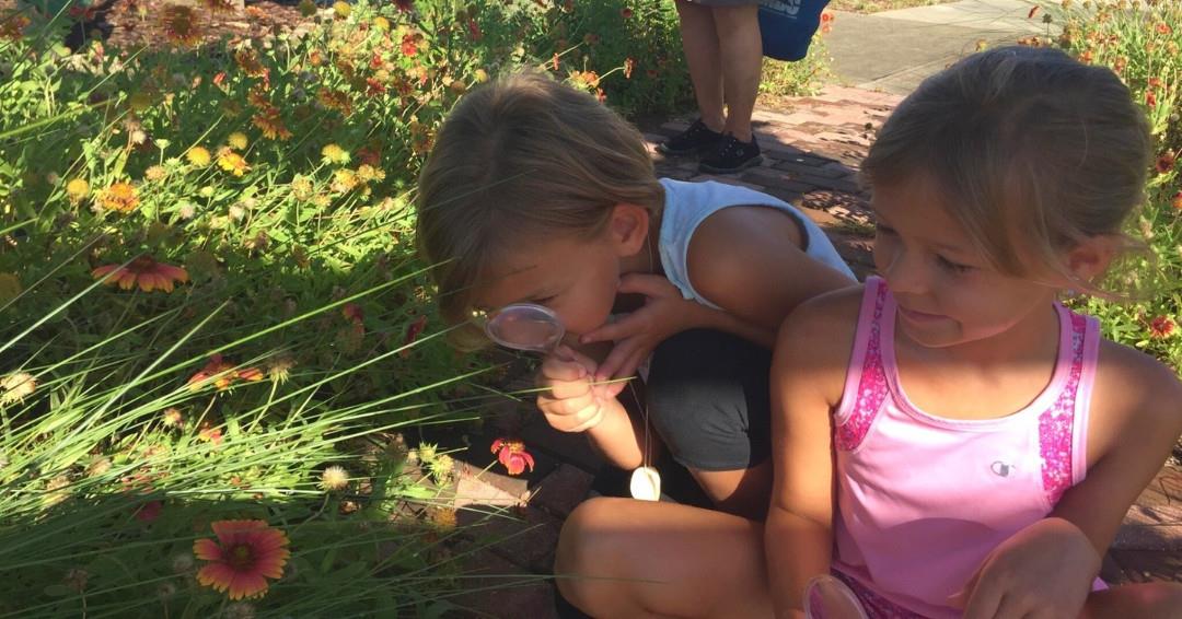 @marinediscoverycenter's weekly Sea Squirts Program introduces marine life to children ages 3-5 years (and parents, too!) 🐠 
🔎 Activities may include outdoor exploration, animal observations, arts and crafts, stories and games.
🐡 More info in bio
.
📷: Marine Discovery Center/FB 
#LoveNSB #LoveFL #SeaSquirts