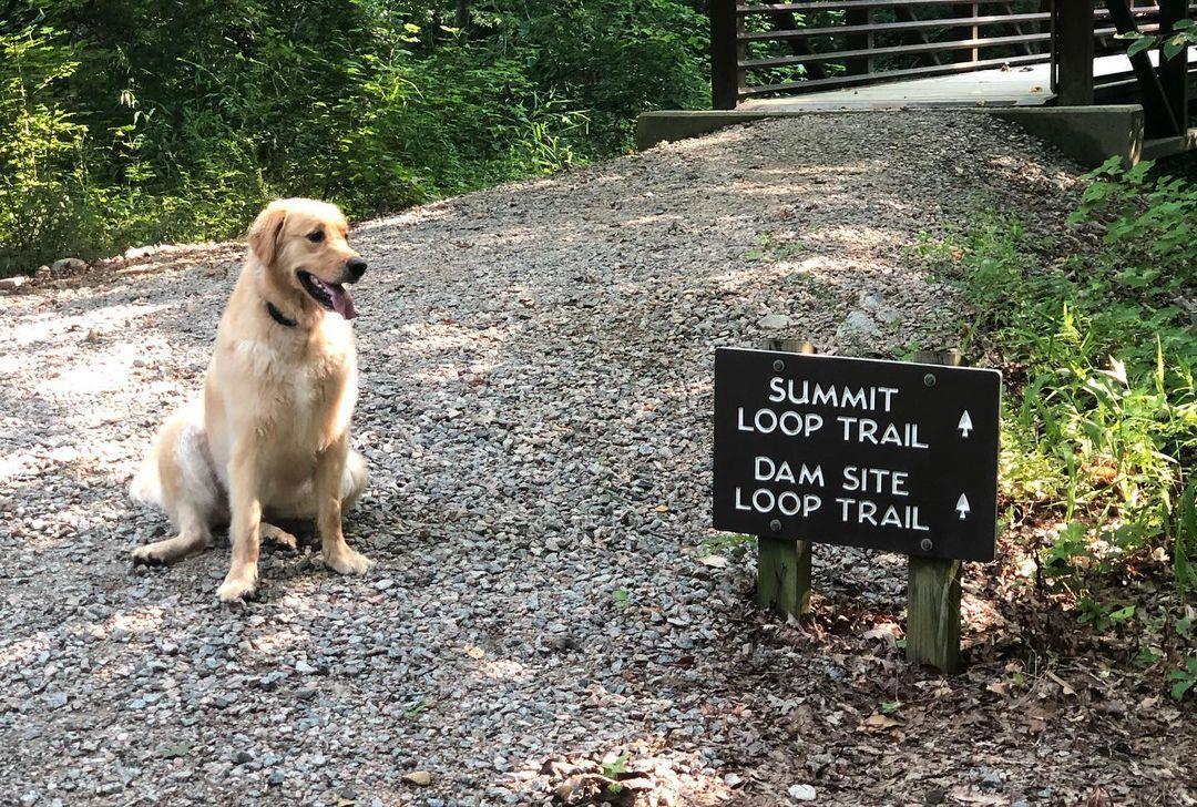 Decisions, decisions...
What's your favorite trail at Medoc Mountain State Park?
👣 Let us know in the comments!
.
📷 @the_may_house_2022
#DiscoverHalifaxNC #VisitNC #VisitHalifaxNC